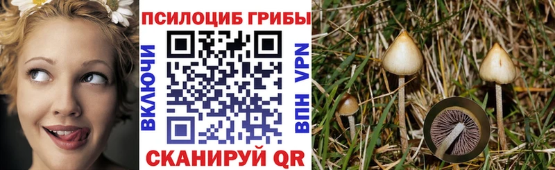 что такое наркотик  Агидель  Псилоцибиновые грибы мицелий 